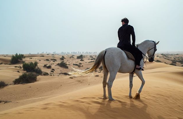 Дуров виклав в Instagram фотографію себе на білому коні