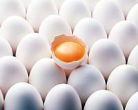 Багато бодібілдери вважають яєчний протеїн найкращим