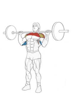 Основна вправа для опрацювання плечових м'язів