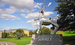 Університет Surrey розташовується в мальовничій місцевості на південному сході Англії