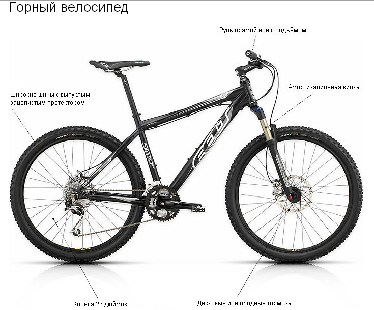 Кожен з цих видів вимагав до велосипеда різні конструкції для оптимальної продуктивності